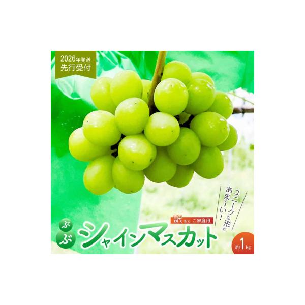 ■お礼品詳細■お申し込み・配送・その他　・発送時期：2026年8月〜9月発送予定　・申込受付期間：2026年7月31日まで受付　・配達外のエリア：離島、北海道、沖縄県　・寄付証明書の送付時期目安：申込完了日から２週間程度　・提供元：三原市