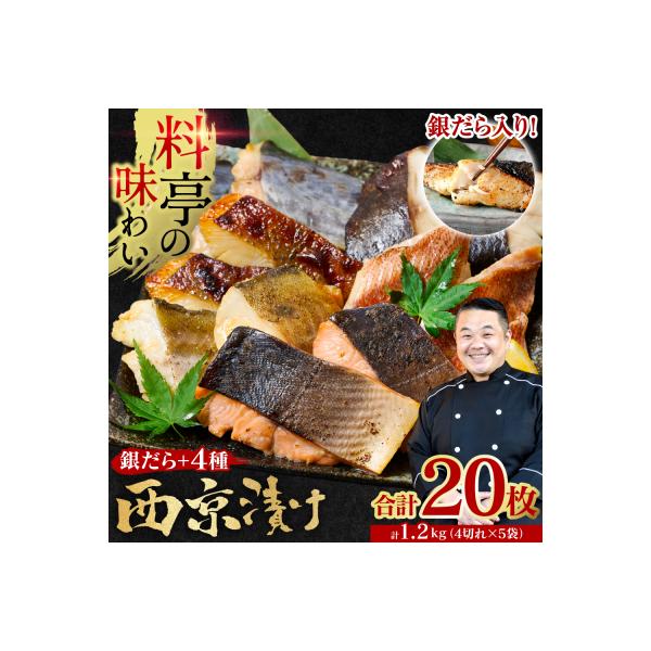 ふるさと納税 八代市 【令和8年熊本地震復興支援】訳あり 西京漬け 1.2kg 5種20枚_169-5198-C