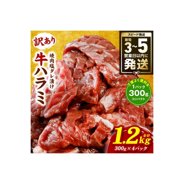 ふるさと納税 八代市 【令和8年熊本地震復興支援】訳あり 牛ハラミ焼肉 1.2kg(300g×4P)_233-6028-A