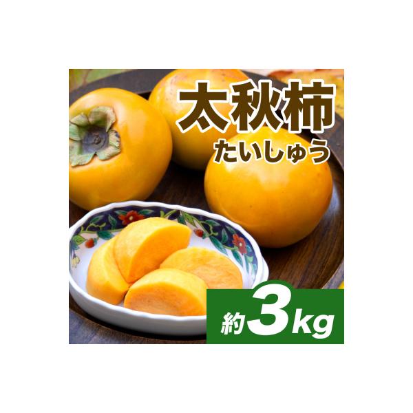 八代市 【先行予約】 太秋柿約3kg(8〜15玉)【2026年10月上旬より順次発送】_232-6031-A