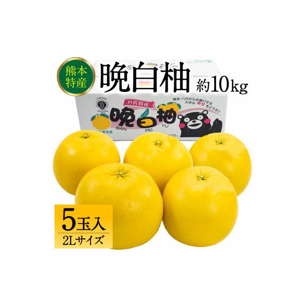 八代市 【先行予約】八代市産 晩白柚 2L 5玉 【2026年12月上旬より順次発送】_232-6023-B 約10kg