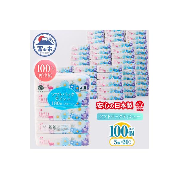 ふるさと納税 富士市 100パック!! ソフトパックティッシュ ソフィアタッチエコ ティッシュペーパー 日用品 大容量
