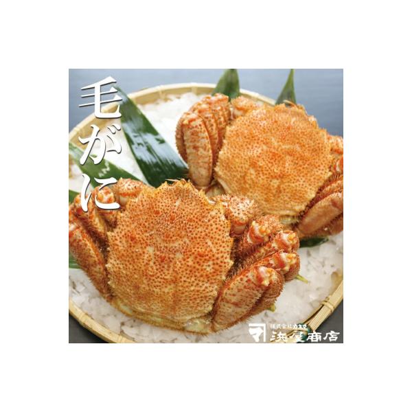 ふるさと納税 根室市 毛がに 500g×2尾 B-32059