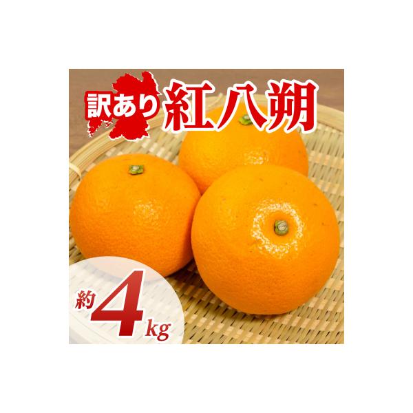 八代市 【先行予約】【訳あり】紅八朔 約4kg【2027年1月下旬より順次発送】_232-6805