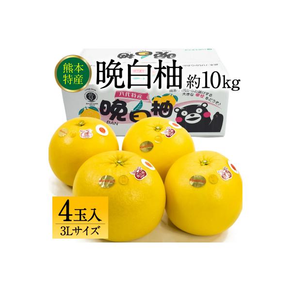 八代市 【先行予約】八代市産 晩白柚 3L 4玉 【2026年12月上旬より順次発送】_232-6026-B 約10kg
