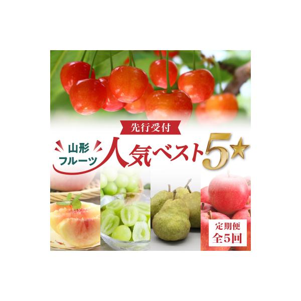 ふるさと納税 大江町 《先行受付》山形フルーツ人気ベスト5★【定期便全5回】 060-T13