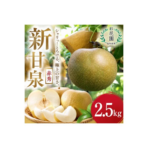 ふるさと納税 八頭町 【2027年発送分先行受付】新甘泉(赤秀) 2.5kg【彩
