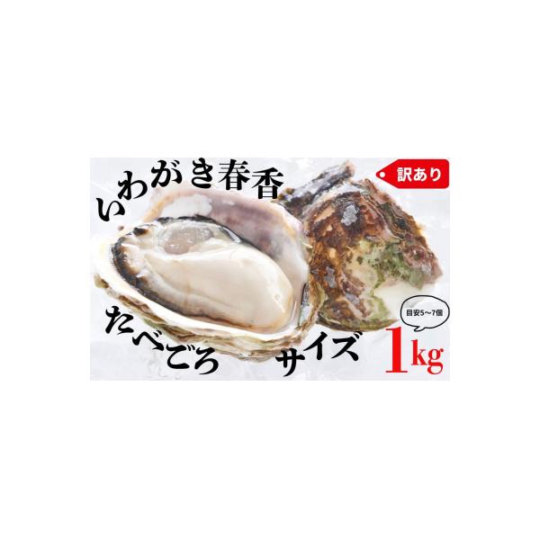 ふるさと納税 海士町 【ブランドいわがき春香】【訳あり】食べごろサイズ 1kgセット 春香 牡蠣 牡蛎 いわがき 岩牡蠣
