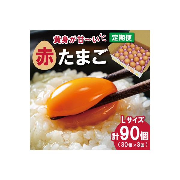 ふるさと納税 明和町 新鮮たまご 赤玉 Lサイズ 30個×3回 【定期便】中村養鶏場 ny5