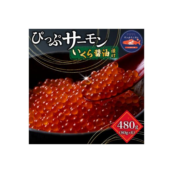ふるさと納税 比布町 ぴっぷサーモン イクラ醤油漬け 480g (80g×6) 1009-007
