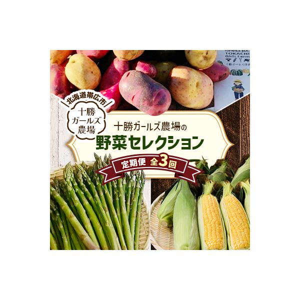 ■お礼品詳細　・配送種別：冷蔵便■お申し込み・配送・その他　・発送時期：【1回目】発送月の前月20日までのお支払いで発送月上旬より発送開始【2回目以降】発送月上旬より順次発送　・申込受付期間：2025-09-21〜2026-04-30　・配...
