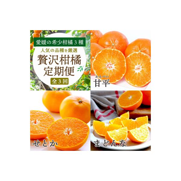 ふるさと納税 八幡浜市 【発送月固定定期便】愛媛の柑橘3品種を厳選!まどんな・甘平・せとか柑橘定期便【G25-163】全3回