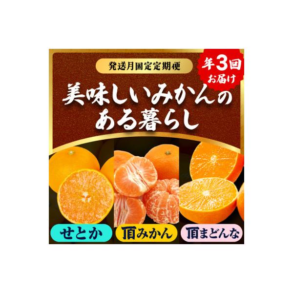 ふるさと納税 八幡浜市 【発送月固定定期便】美味しいみかん柑橘のある暮らし【みかん・まどんな・せとか】【G31-43】全3回