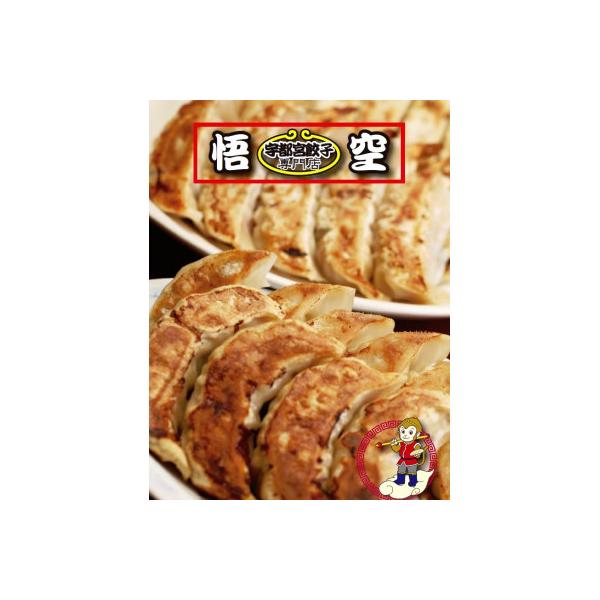 ふるさと納税 宇都宮市 【毎月定期便】餃子専門店 宇都宮悟空 4種の人気餃子全4回
