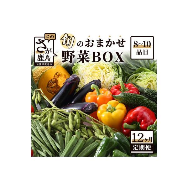 ふるさと納税 鹿島市 【毎月定期便】旬のおまかせ野菜BOX 詰め合わせ 8〜10品目全12回