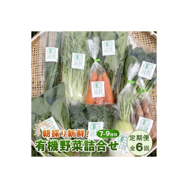 ■お礼品詳細　・配送種別：冷蔵便■お申し込み・配送・その他　・発送時期：【1回目】毎月末日までのお支払いで翌月中旬より順次発送【2回目以降】前回の1ヵ月後より順次発送　・申込受付期間：通年　・配達外のエリア：離島　・寄付証明書の送付時期目安...