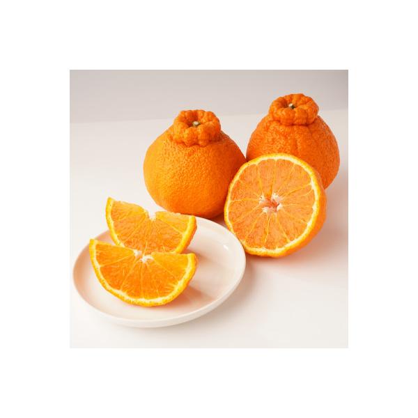 ■お礼品詳細　・配送種別：冷蔵便■お申し込み・配送・その他　・発送時期：【1回目】発送月の前月20日までのお支払いで発送月上旬より順次発送【2回目以降】発送月上旬より順次発送　・申込受付期間：〜2025-12-31　・配達外のエリア：離島、...