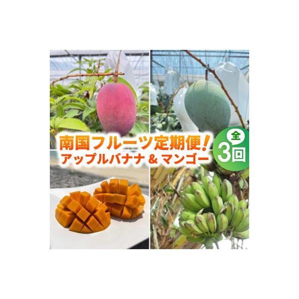 ■お礼品詳細　・配送種別：冷蔵便■お申し込み・配送・その他　・発送時期：【1回目】発送月の前月20日までのお支払いで発送月上旬より順次発送【2回目以降】発送月上旬より順次発送　・申込受付期間：〜2026-06-20　・配達外のエリア：離島　...