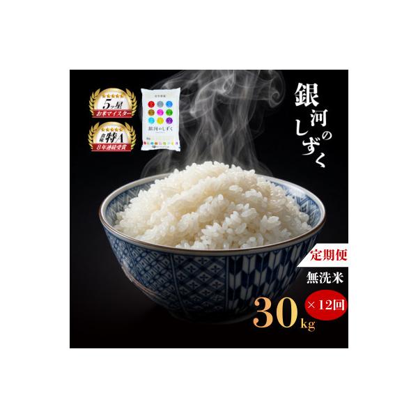 ふるさと納税 盛岡市 【毎月定期便】無洗米 銀河のしずく 30kg全12回