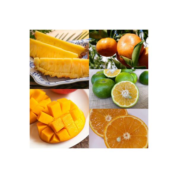 ■お礼品詳細　・配送種別：冷蔵便■お申し込み・配送・その他　・発送時期：【1回目】発送月の前月20日までのお支払いで発送月上旬より順次発送【2回目以降】発送月上旬より順次発送　・申込受付期間：通年　・配達外のエリア：離島　・寄付証明書の送付...