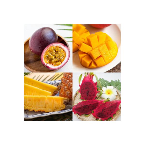 ■お礼品詳細　・配送種別：冷蔵便■お申し込み・配送・その他　・発送時期：【1回目】発送月の前月20日までのお支払いで発送月上旬より順次発送【2回目以降】発送月上旬より順次発送　・申込受付期間：通年　・配達外のエリア：離島　・寄付証明書の送付...