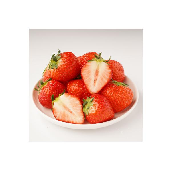 ■お礼品詳細　・配送種別：冷蔵便■お申し込み・配送・その他　・発送時期：【1回目】発送月の前月20日までのお支払いで発送月上旬より順次発送【2回目以降】発送月上旬より順次発送　・申込受付期間：〜2026-12-31　・配達外のエリア：離島、...