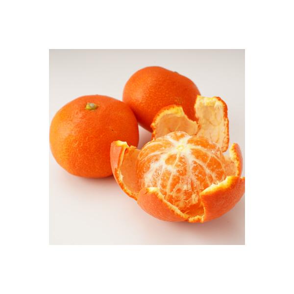 ■お礼品詳細　・配送種別：冷蔵便■お申し込み・配送・その他　・発送時期：【1回目】発送月の前月20日までのお支払いで発送月上旬より順次発送【2回目以降】発送月上旬より順次発送　・申込受付期間：通年　・配達外のエリア：離島、北海道、沖縄県　・...