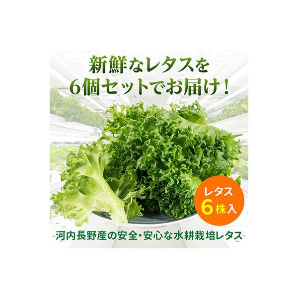 ■お礼品詳細　・配送種別：冷蔵便■お申し込み・配送・その他　・発送時期：【1回目】お申し込み後1〜2週間程度で順次発送【2回目以降】前回の1ヵ月後より順次発送　・申込受付期間：通年　・配達外のエリア：離島　・寄付証明書の送付時期目安：申し込...