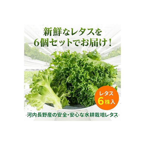 ■お礼品詳細　・配送種別：冷蔵便■お申し込み・配送・その他　・発送時期：【1回目】お申し込み後1〜2週間程度で順次発送【2回目以降】前回の1ヵ月後より順次発送　・申込受付期間：通年　・配達外のエリア：離島　・寄付証明書の送付時期目安：申し込...
