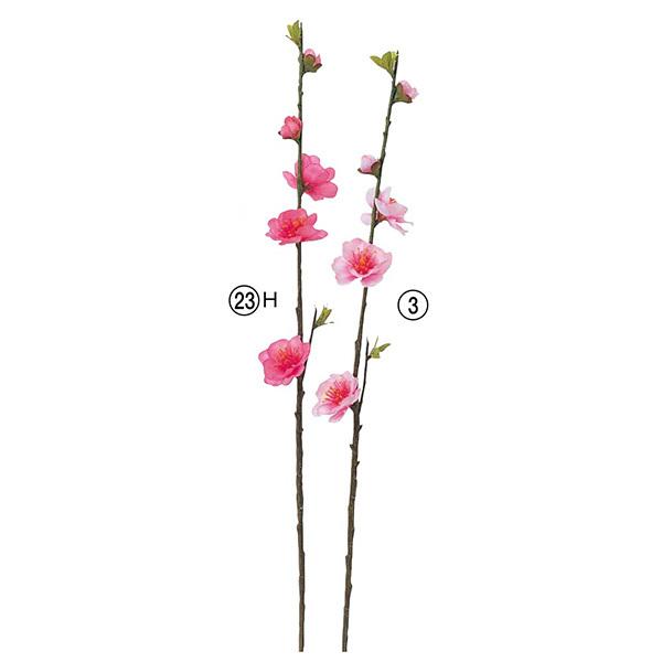 yP5{ 12/02 09:59z  Ƃ悹i sbN ̉ ̉ a CeA CeAt[ tFCNt[ ԍ AXJ ASCA AXJ