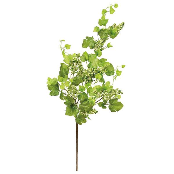 yP5{ 12/02 09:59z  O[  Ƃ悹i x[Xv[ CeA tFCN O[ p[c AWg t AXJ ASCA AXJ