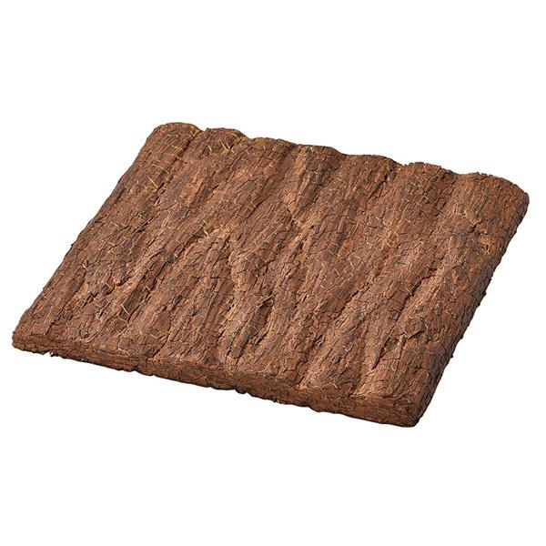 Ƃ悹i o[`{[h p[c AWg Ԏ  ޗ ʐ^Be    t  H ~ ЂȂ ܌ AXJ ASCA AXJ