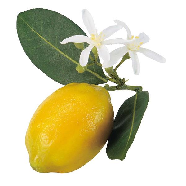 フェイクフルーツ とりよせ品 Asca アスカ レモン イエロー インテリア イミテーション 花材 花資材 素材 材料 パーツ 装飾 安い Asc A 360 造花ドライフラワー専門問屋花びし 通販 Yahoo ショッピング