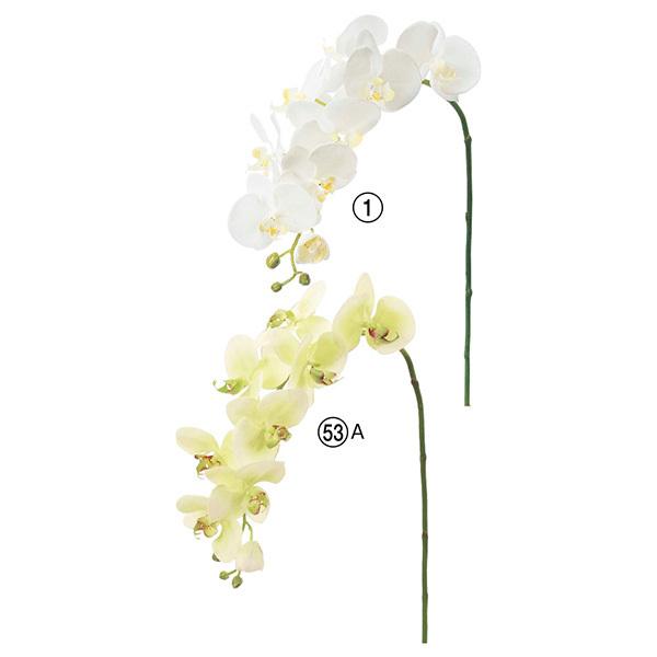 リアル質感のフェイクコチョウラン中サイズ75cm