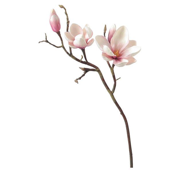 造花 とりよせ品 Asca アスカ マグノリア 2 つぼみ 2 クリームモーブ 和 木蓮 モクレン インテリア インテリアフラワー 花材 Asc A 造花ドライフラワー専門問屋花びし 通販 Yahoo ショッピング