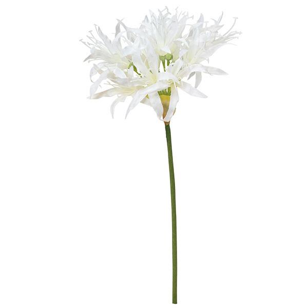 造花 とりよせ品 Asca アスカ ネリネリリィ インテリア インテリアフラワー フェイクフラワー シルクフラワー インテリアグリーン 春 Asc A 造花ドライフラワー専門問屋花びし 通販 Yahoo ショッピング