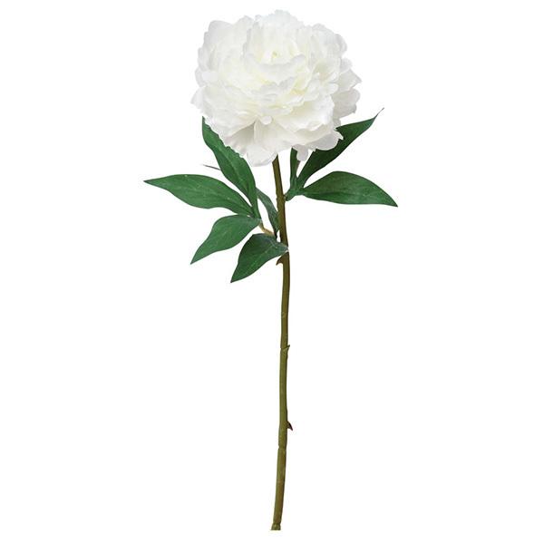 yP5{ 12/02 09:59z  Ƃ悹i sIj[ {^ O VNN 䉖 CeA CeAt[ VNt[ AXJ ASCA AXJ