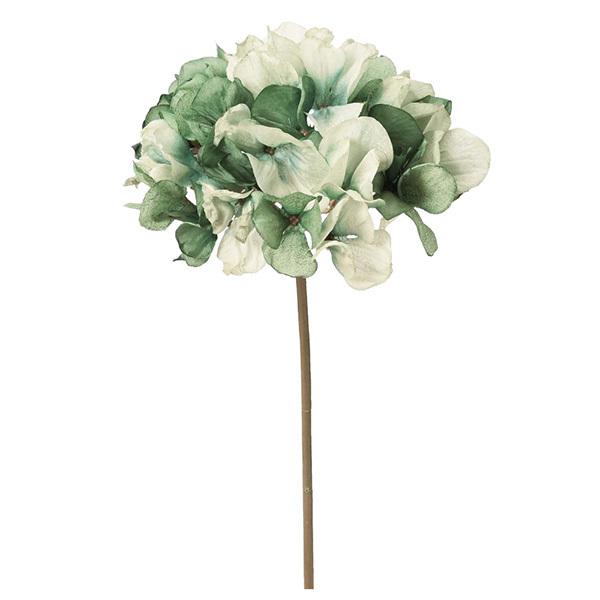 造花 とりよせ品 Asca アスカ ハイドランジア グリーン 紫陽花 アジサイ インテリア インテリアフラワー フェイクフラワー 花材 春 Asc A 330 造花ドライフラワー専門問屋花びし 通販 Yahoo ショッピング