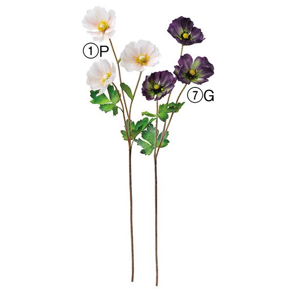  Ƃ悹i |s[×3 CeA CeAt[ tFCNt[ VNt[ CeAO[ A[gt[ AXJ ASCA AXJ