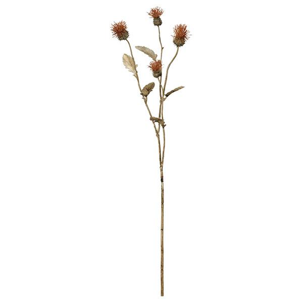 造花 とりよせ品 Asca アスカ アザミ 4 ブラウン 造花 インテリア インテリアフラワー フェイクフラワー シルクフラワー グリーン Asc A 造花ドライフラワー専門問屋花びし 通販 Yahoo ショッピング