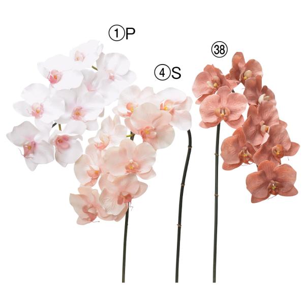 【商品仕様】(素材)全長77房30花径10(ポリエステル・ポリエチレン・樹脂コート)※単位はセンチ( allp5 )(10_dras)( 15_asoh )【お伝えしたいこと】※商品名の×(数字)は商品1点に含まれる花やつぼみの輪数です。(...