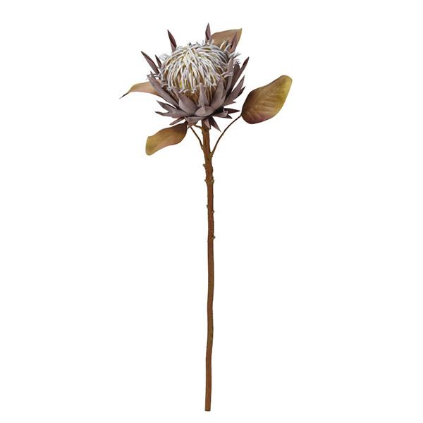 造花 とりよせ品 Asca アスカ プロテア チョコブラウン インテリア インテリアフラワー フェイクフラワー シルクフラワー 花材 素材 Asc A 造花ドライフラワー専門問屋花びし 通販 Yahoo ショッピング