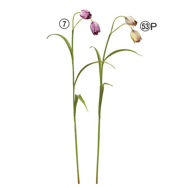 造花 とりよせ品 Asca アスカ フリチラリア 2 インテリア インテリアフラワー フェイクフラワー シルクフラワー インテリアグリーン Asc A 造花ドライフラワー専門問屋花びし 通販 Yahoo ショッピング