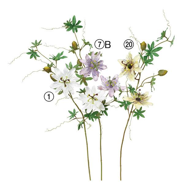  Ƃ悹i v×2 ڂ×2 gPC\E  p[v  CG[ F ڂ Q CeA CeAt[ ԍ AXJ ASCA AXJ