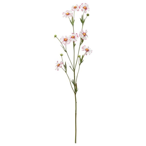 y|Cg5{ 11/03 09:59z  Ƃ悹i RXX×8 ڂ×4 H A[eBtBVt[ CeA ԍ f AXJ ASCA AXJ