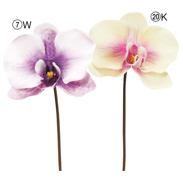 【商品仕様】(素材)全長18 花径10 (プラスチックシート・ポリエチレン)※単位はセンチ(2024AWasc)( csge )( sprngflw )( 15_asoh )( allp5 )( nwyrslk ) ファレノプシス 胡蝶蘭 ...