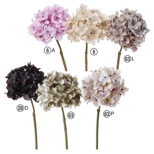 yP5{ 12/02 09:59z  Ƃ悹i nChWA z AWTC CeA CeAt[ tFCNt[ AXJ ASCA AXJ