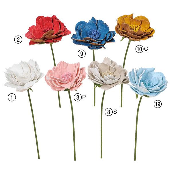  Ƃ悹i sIj[sbN {^ O VNN 䉖 CeA CeAt[ tFCNt[ VNt[ AXJ ASCA AXJ