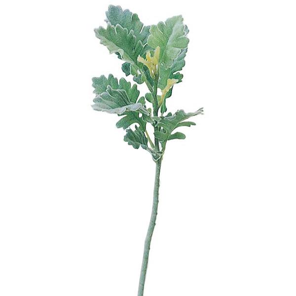 商品サイズ(素材):L33 葉径2.5~9 (ポリエステル・ポリエチレン)【ポリエチレン商品について】プラスチックの素材感がよくわかるものになります。光沢感、硬さがあるものや、一部製造過程でできる、バリと呼ばれるはみ出た部分があるものもござ...