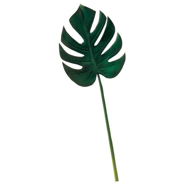  O[ Ƃ悹i Xe(S) ϗt 썑 gsJ 傫 CeA tFCN O[ AXJ ASCA AXJ